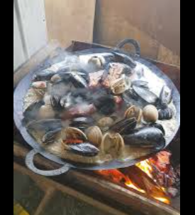 Cocimiento